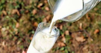 ¿Qué alimentos pueden consumir los intolerantes a la lactosa? Recetas sin lactosa ; leche de un vaso a otro